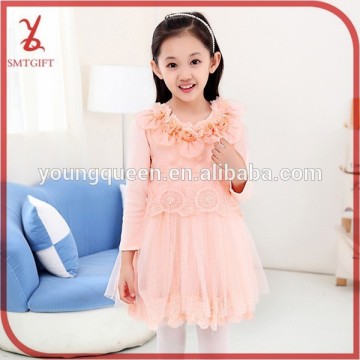 HLL24 high-quality girl 2015 Spring long-sleeved cotton princess dress