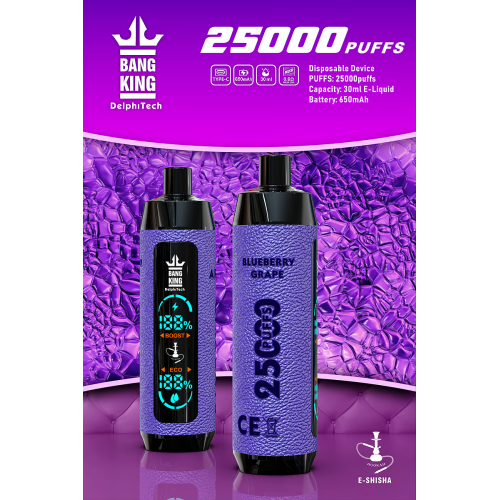 Bang King 25K E-SHISHA DTL Disposable Vape