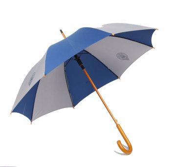 Wholesale China: Rain 23 Inch Auto Open Wooden Umbrella with J Wood Shaft for Gifts