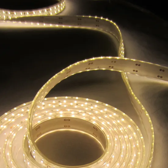 3014 LED Strip DC12V 24V SMD3014 LED Strip Light