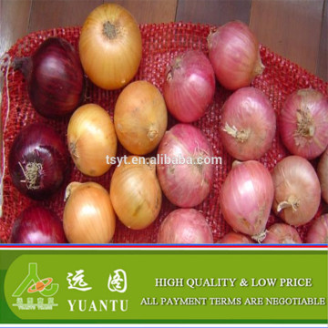 2015 Onion Sold By Per Ton Price