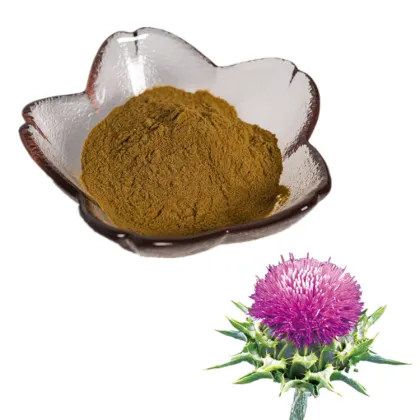 liver protection products silybum marianum extract silymarin milk thistle extract seed powder