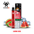 Einweg -Vape Electronic Cigarette 1000 Puffs Vape Stift