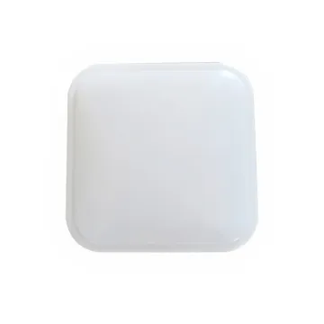 Square hood ceiling light