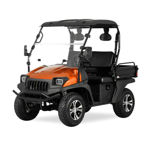 Jeep 4 Sitze Golfwagen UTV mit EPA