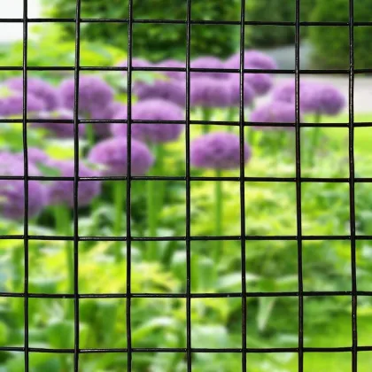 High-Quality Wire Mesh Fences: Exploring Welded Wire Mesh Solutions