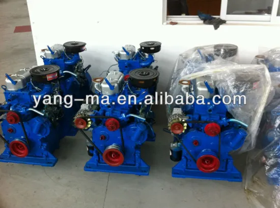 water cooled 17.4KW Small two cylinder diesel engine for boats