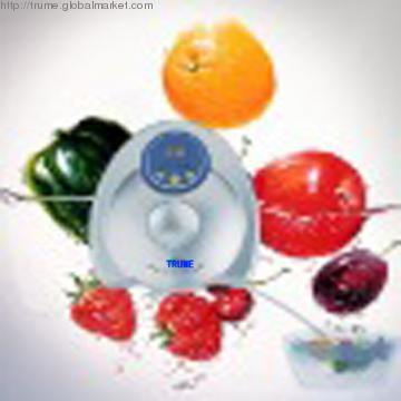 Hot sell Practical 400mg/h Ozone water purifier Vegeatble& fruit