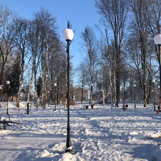 Garden Post Top Light RHS-14578B - DAHENG Aluminum Classic Style Aluminum Fence Post Light