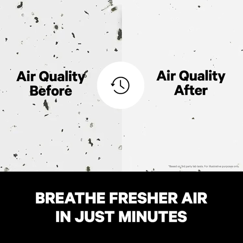 Household air purifier