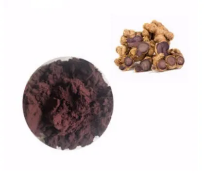 Organic Kaempferia Parviflora Black Ginger Extract Powder