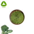 Natural Organic Freeze Dried Green Kale Extract Powder