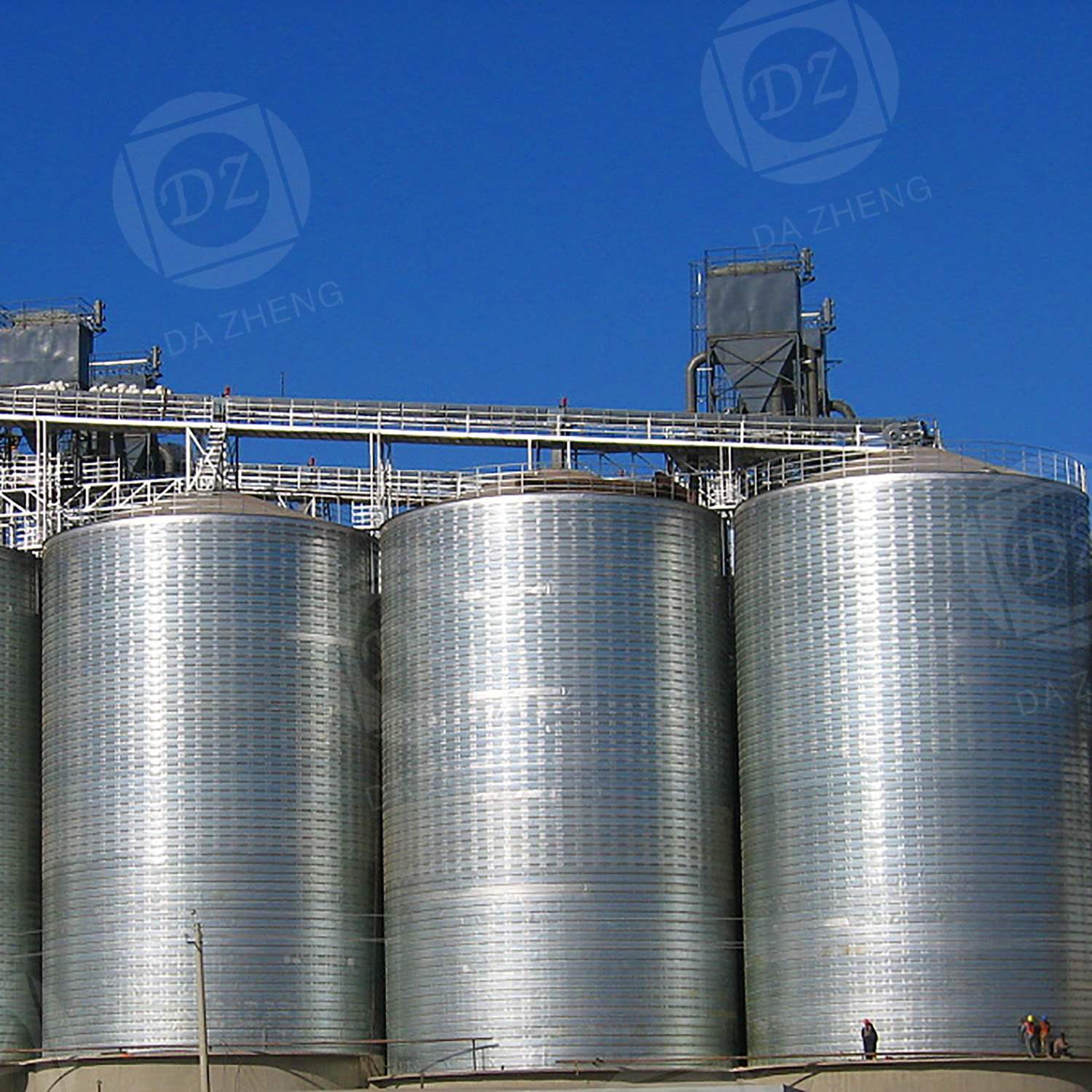 Vegetable seed storage silo