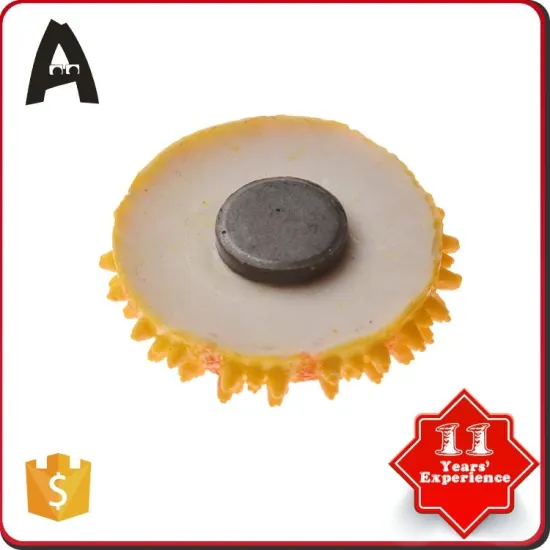 China factory supply acrylic photo fridge magnet