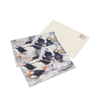 Customized Business Card Printing: High-Quality Paper Options for Greeting Cards, Thank You Notes, and Postcards