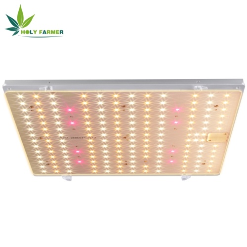 110W LED Grow Light Board
