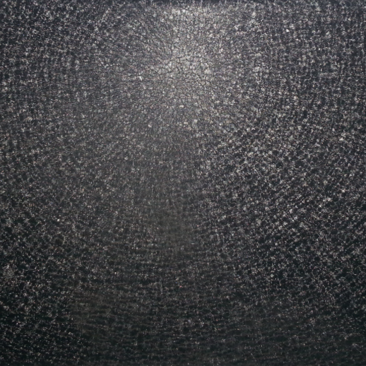 Wrinkle PPGI uses polyester resin