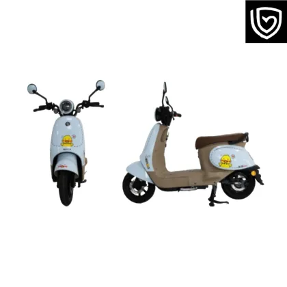 Electric Scooter: Smart Travel (Turtle Model 5)