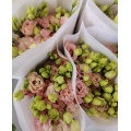 তাজা কাটা ফুল হালকা গোলাপী Lisianthus বিবাহের সজ্জা