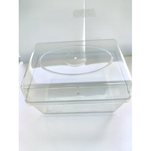 Seed germination plastic box Injection molding