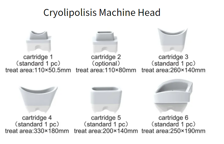 Product Info Of Cryo Body Musle Slimming Machine