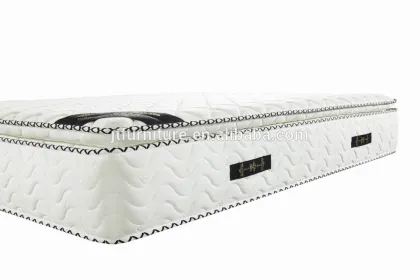Import Bed Sore Natural Latex Pocket Spring Rolled Mattress