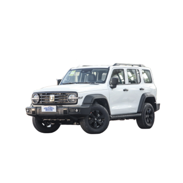 Tangki GWM 300: China 2.0t Wey Tank 300 Urban Cross AWD SUV