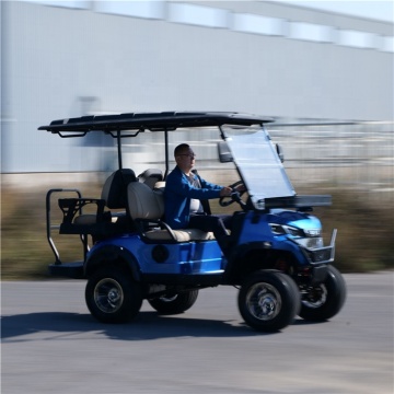 Electric Lithium Golf Cart 2 Seater - Street Legal Utility Vehicle for Sale