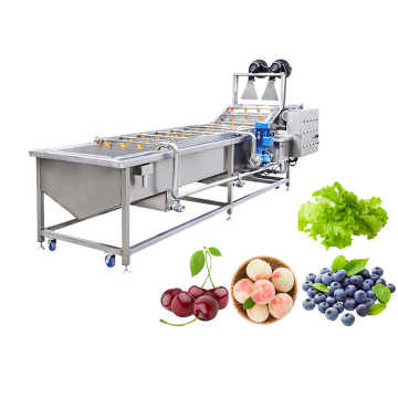 Industrial Fruit and Vegetable Washing Machine Manufacturers