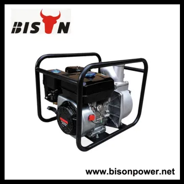 BISON(CHINA) cp130 water pump, 5hp water pump, irrigation water pumps sale
