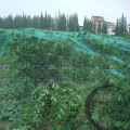 Màu xanh lá cây đùn HDPE với lưới chim chống tia cực tím