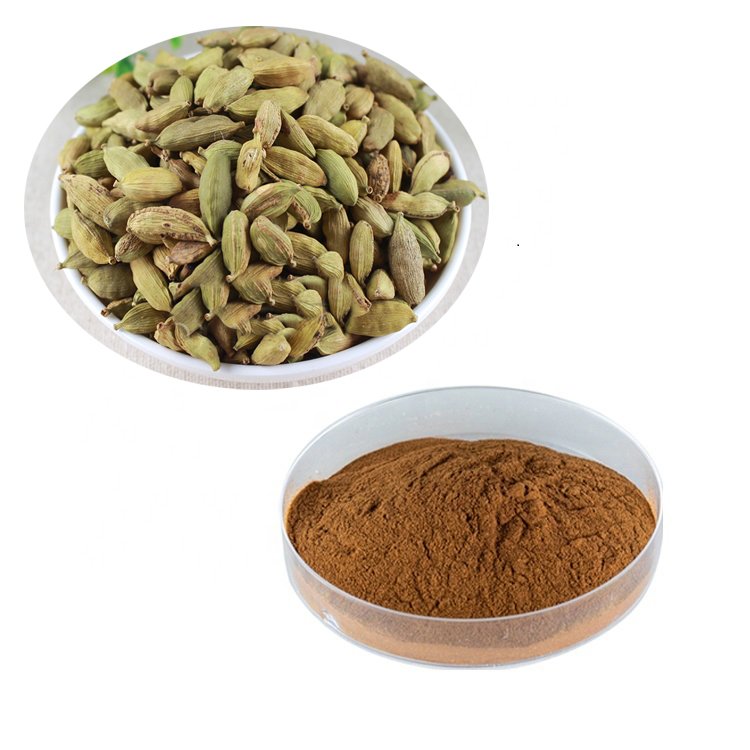 Pure Natural Cardamom Seed Extract Cardamonin 99%