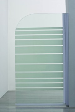 Glass Shower Door