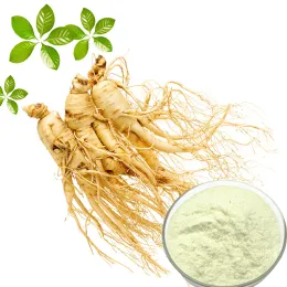Ginseng Extarct Ginsenoside 80%