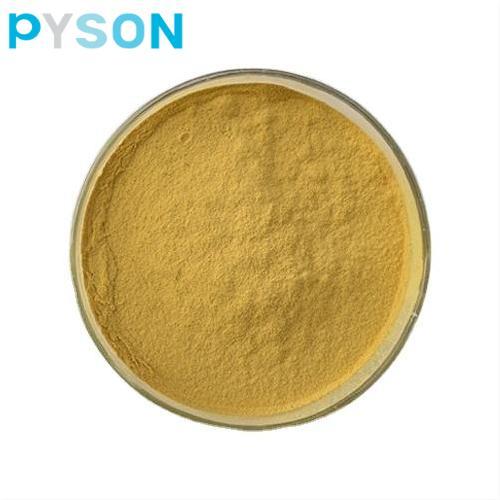 Pumpkin Seed Extracts powder 5:1