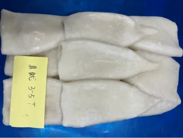 Frozen Squid Tube Todarodes Pacificus U3-U5
