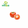 Tomate Extract Spray seco em pó