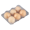 Empty Tray Clear Blister Chicken Egg Box