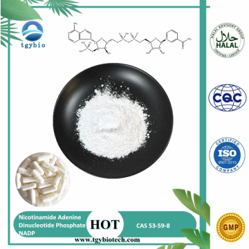 Nicotinamide Adenine Dinucleotide Fosfat NADP Serbuk