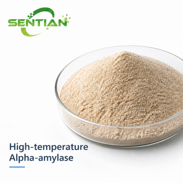 Alpha-Amylase nhiệt độ cao để hóa lỏng tinh bột