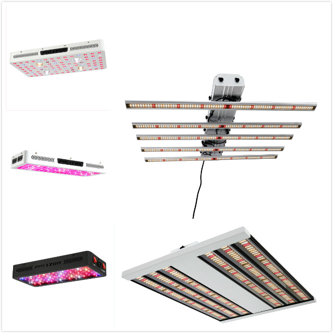 LED Grow Light 2019