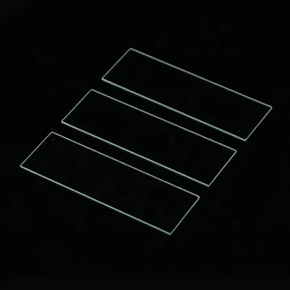 BP-7101 Prepared Glass Microscope Slides - Scientific Supplies