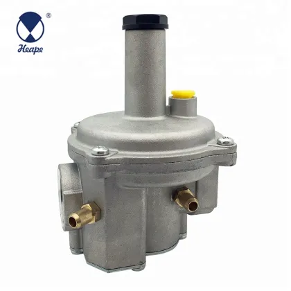 HEAPE Gas Regulator Valve 500mbar