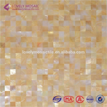 High Quality Sea Shell Mosaic Tiles Wall Tiles Decorative Tiles Mosaic Art