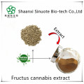 Barbed Skullcap Extract Baicalin 80% in Large Stock