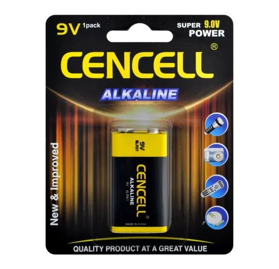 Super Power 6LR61 9V Dry Batteries