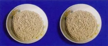 Rare earth porcelain sand