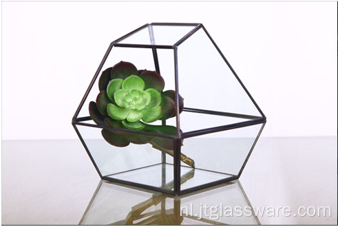 Vorm Super groot glazen terrarium geometrisch