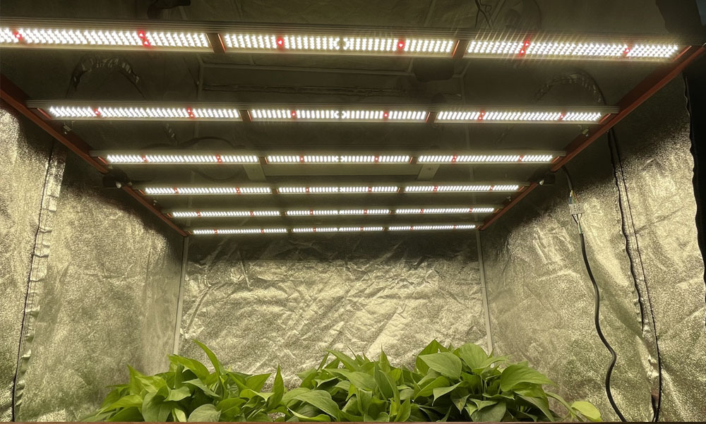 AGLEX 650W dimmable led grow light for canna