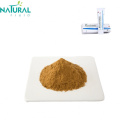 Purity horse chestnut extract Aescin horse chestnut powder